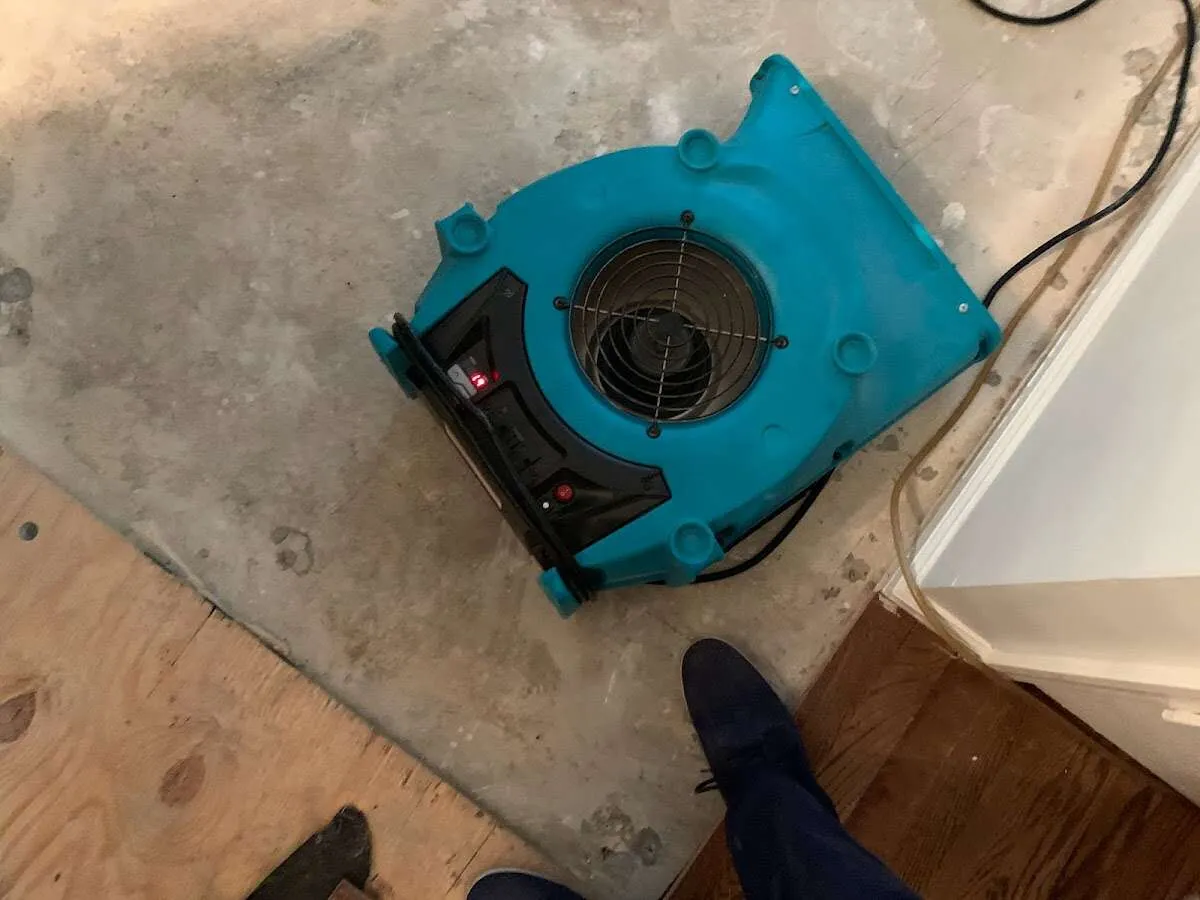 Air mover drying subfloor during Leak Detection & Repair in Milford Mill